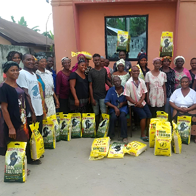 footer-widget-gallery